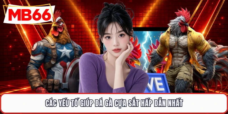 Các yếu tố giúp đá gà cựa sắt hấp dẫn nhất