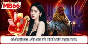 Đá Gà Cựa Dao - Sân Chơi Giải Trí Với Chất Lượng 100%