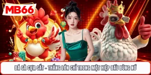 Đá Gà Cựa Sắt - Thắng Lớn Chỉ Trong Một Hiệp Đấu Bùng Nổ