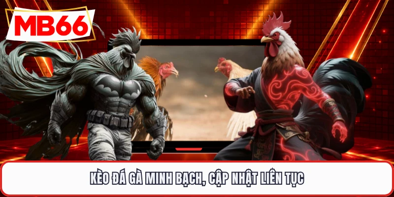 Kèo đá gà minh bạch, cập nhật liên tục