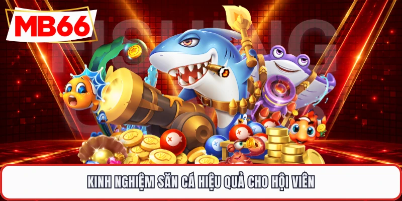 Kinh nghiệm săn cá hiệu quả cho hội viên