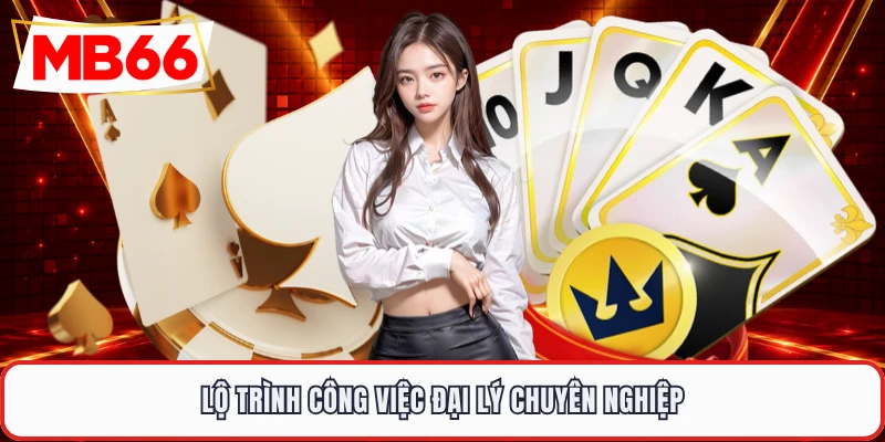 Lộ trình công việc đại lý chuyên nghiệp