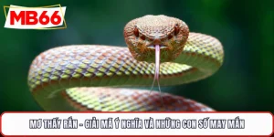 Mơ Thấy Rắn - Giải Mã Ý Nghĩa Và Những Con Số May Mắn