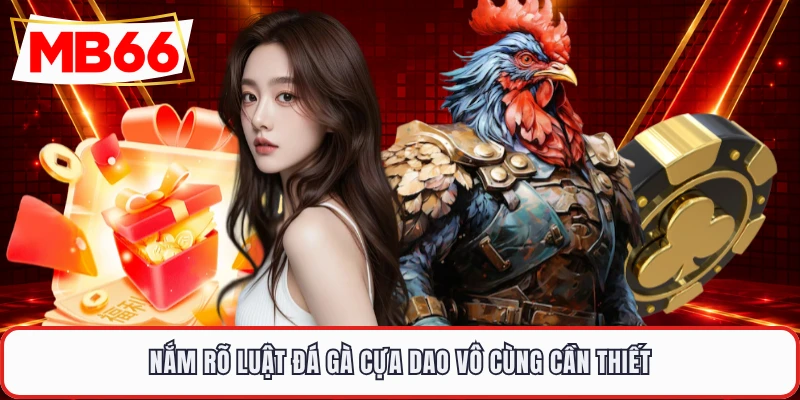 Nắm rõ luật đá gà cựa dao vô cùng cần thiết