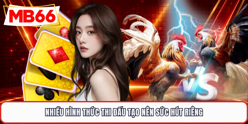 Nhiều hình thức thi đấu tạo nên sức hút riêng