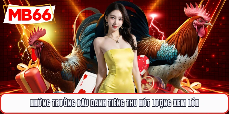 Những trường đấu danh tiếng thu hút lượng xem lớn