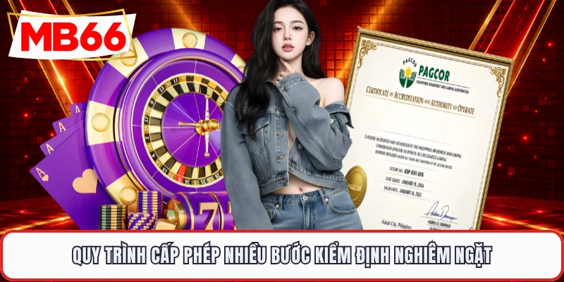 Quy trình cấp phép nhiều bước kiểm định nghiêm ngặt