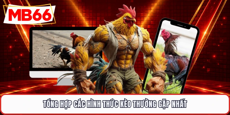 Tổng hợp các hình thức kèo thường gặp nhất