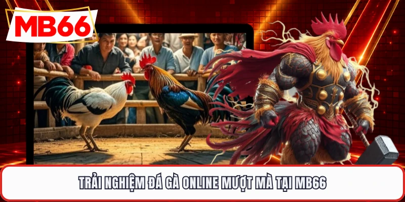 Trải nghiệm đá gà online mượt mà tại MB66